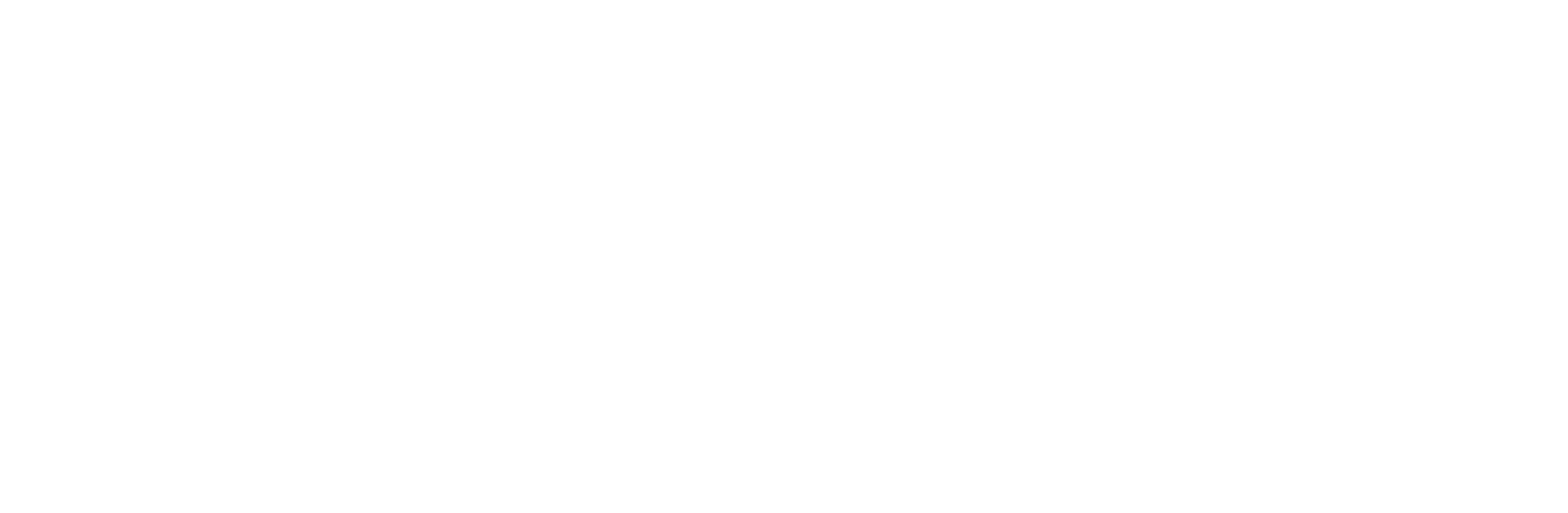 Nolwenture_logo_white