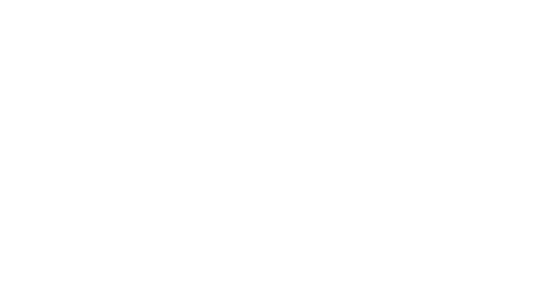 kaiden_logo_white